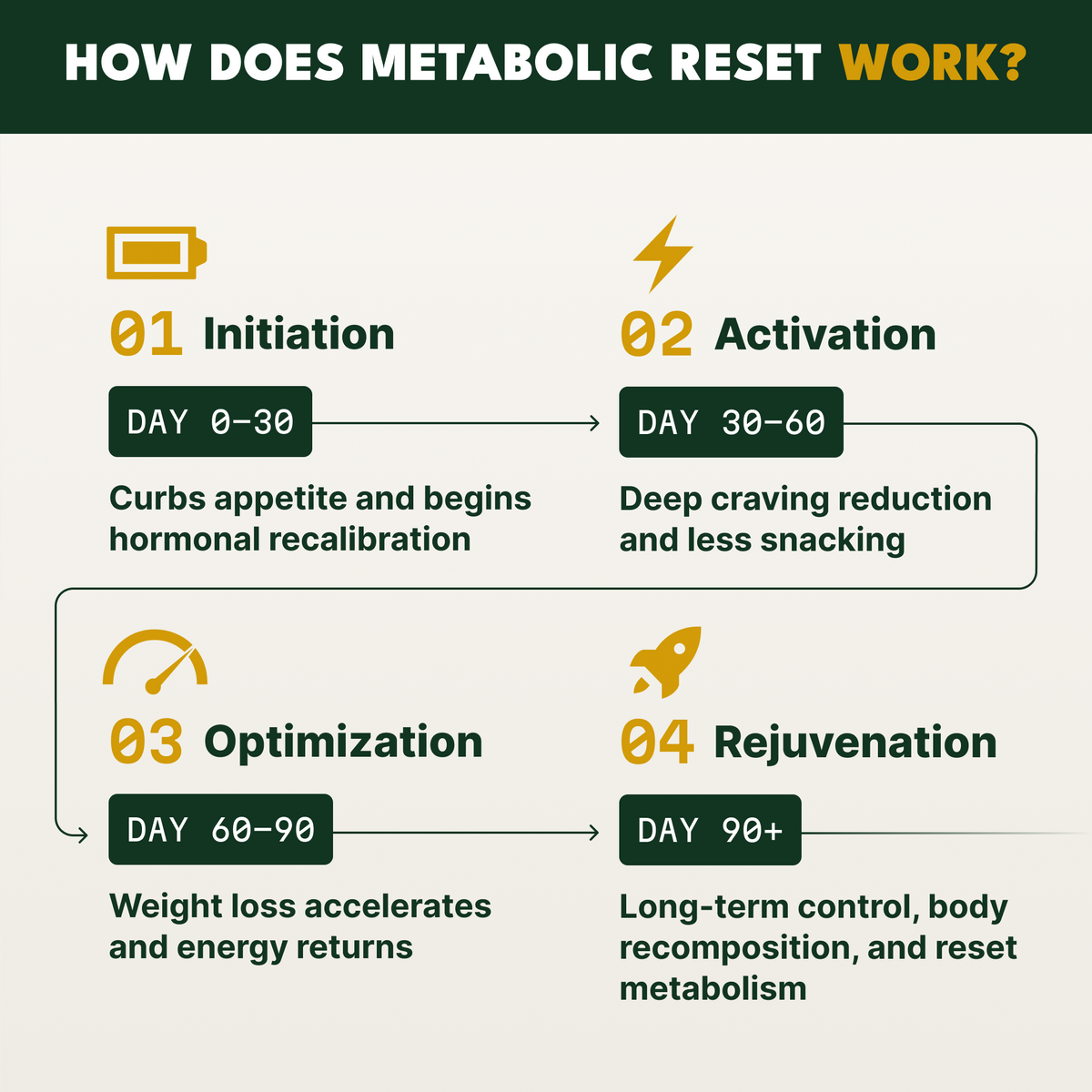 Metabolic Reset